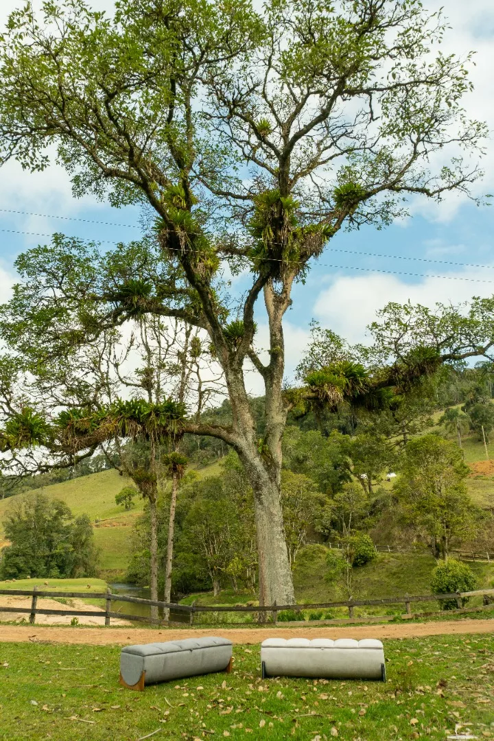Recaimer Jatobá